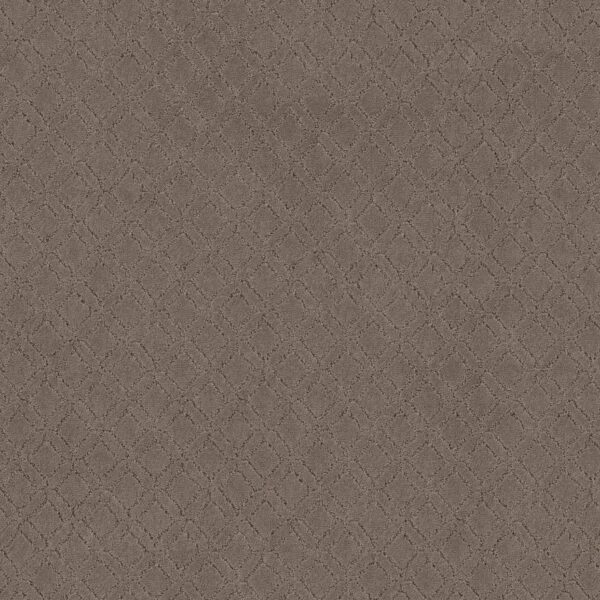 Anderson Tuftex Carpet Muse Enigma 00854_ZZ078