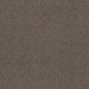Anderson Tuftex Carpet Muse Chantrelle 00857_ZZ078