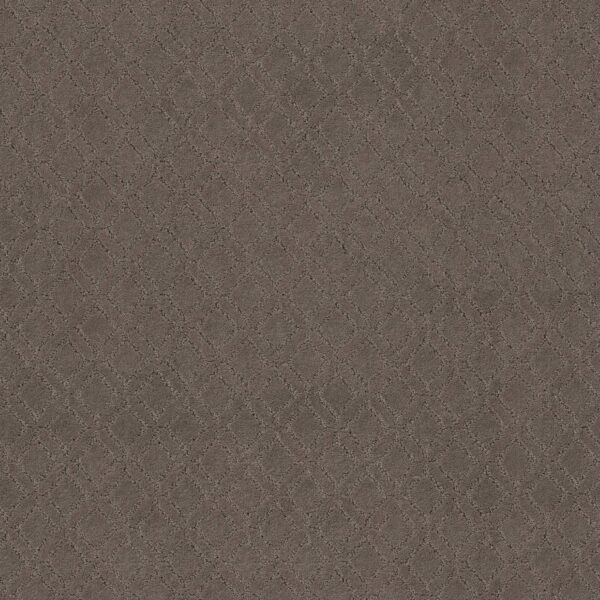 Anderson Tuftex Carpet Muse Chantrelle 00857_ZZ078