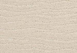 Anderson Tuftex Carpet Pose Salt Box 00102_ZZ079