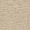 Anderson Tuftex Carpet Pose Morning Light 00113_ZZ079
