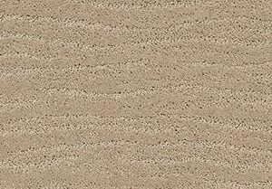 Anderson Tuftex Carpet Pose Oak Ridge 00114_ZZ079
