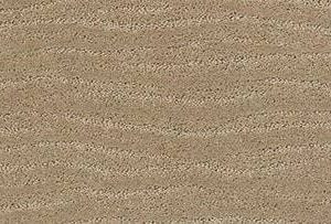 Anderson Tuftex Carpet Pose Coronado 00115_ZZ079