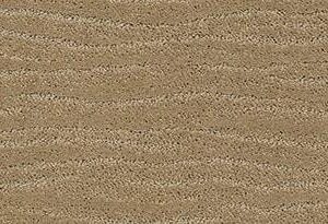 Anderson Tuftex Carpet Pose Folklore 00123_ZZ079