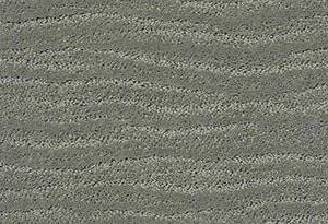Anderson Tuftex Carpet Pose Pine Forest 00314_ZZ079