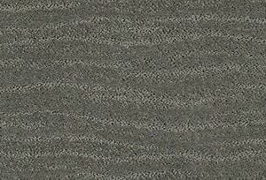 Anderson Tuftex Carpet Pose Wonder 00316_ZZ079