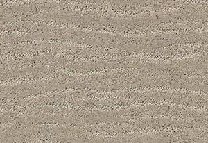 Anderson Tuftex Carpet Pose Inner Balance 00511_ZZ079