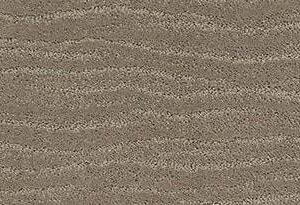 Anderson Tuftex Carpet Pose Reflection 00512_ZZ079