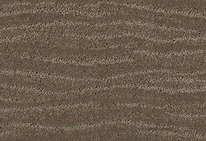 Anderson Tuftex Carpet Pose Rockport 00515_ZZ079