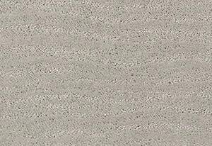 Anderson Tuftex Carpet Pose Gentle Gray 00541_ZZ079