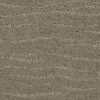 Anderson Tuftex Carpet Pose Intrigue 00552_ZZ079