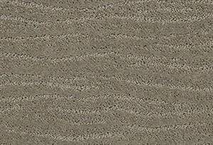 Anderson Tuftex Carpet Pose Intrigue 00552_ZZ079