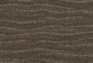 Anderson Tuftex Carpet Pose Dash 00556_ZZ079