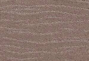 Anderson Tuftex Carpet Pose Socialite 00851_ZZ079