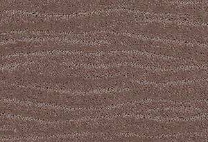 Anderson Tuftex Carpet Pose Enigma 00854_ZZ079