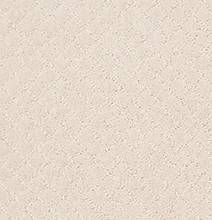 Anderson Tuftex Carpet Pawnache Barely Beige 00111_ZZ080