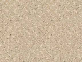 Anderson Tuftex Carpet Pawnache Hazelnut 00113_ZZ080