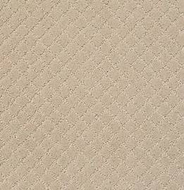 Anderson Tuftex Carpet Pawnache Toffee Cream 00183_ZZ080