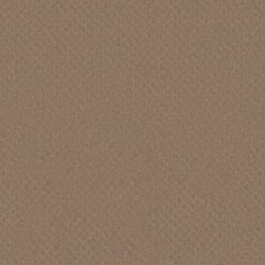 Anderson Tuftex Carpet Pawnache Peanut Shell 00186_ZZ080