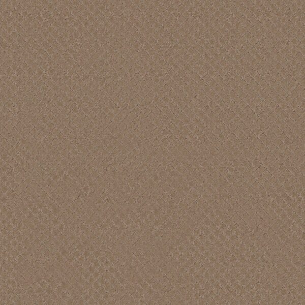 Anderson Tuftex Carpet Pawnache Peanut Shell 00186_ZZ080