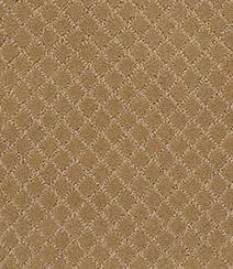 Anderson Tuftex Carpet Pawnache Golden Straw 00224_ZZ080