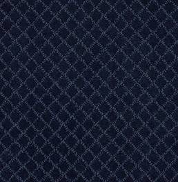 Anderson Tuftex Carpet Pawnache Downpour 00445_ZZ080