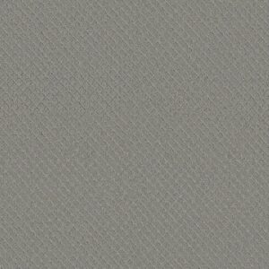 Anderson Tuftex Carpet Pawnache Misty Lake 00451_ZZ080