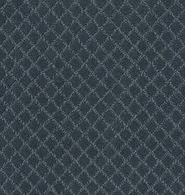 Anderson Tuftex Carpet Pawnache Nimbus 00455_ZZ080