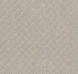 Anderson Tuftex Carpet Pawnache Silver Fox 00511_ZZ080