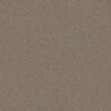 Anderson Tuftex Carpet Pawnache Gray Mirage 00533_ZZ080