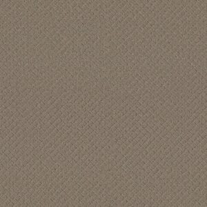 Anderson Tuftex Carpet Pawnache Gray Mirage 00533_ZZ080