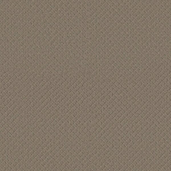 Anderson Tuftex Carpet Pawnache Gray Mirage 00533_ZZ080
