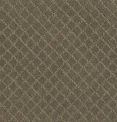 Anderson Tuftex Carpet Pawnache Dry Sage 00536_ZZ080