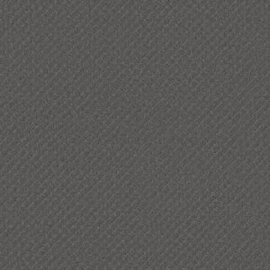 Anderson Tuftex Carpet Pawnache Steel Wool 00545_ZZ080