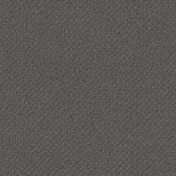 Anderson Tuftex Carpet Pawnache Steel Wool 00545_ZZ080