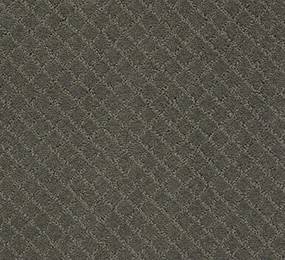 Anderson Tuftex Carpet Pawnache Smoked Oyster 00576_ZZ080