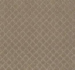 Anderson Tuftex Carpet Pawnache Driftwood 00712_ZZ080