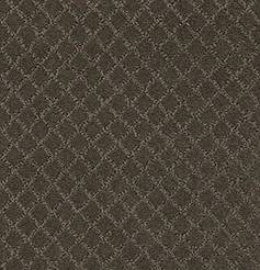 Anderson Tuftex Carpet Pawnache Overcoat 00716_ZZ080