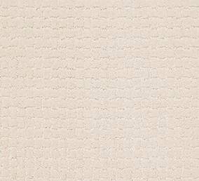 Anderson Tuftex Carpet Pawstruck Barely Beige 00111_ZZ081