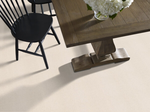 Anderson Tuftex Carpet Pawstruck Barely Beige 00111_ZZ081 - Image 2