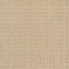 Anderson Tuftex Carpet Pawstruck Hazelnut 00113_ZZ081