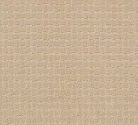 Anderson Tuftex Carpet Pawstruck Hazelnut 00113_ZZ081