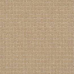Anderson Tuftex Carpet Pawstruck Monterey 00115_ZZ081