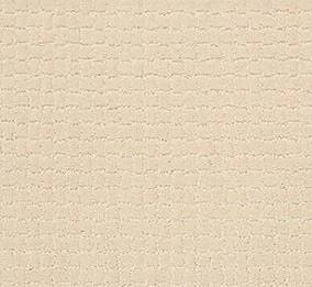 Anderson Tuftex Carpet Pawstruck Antiquity 00121_ZZ081