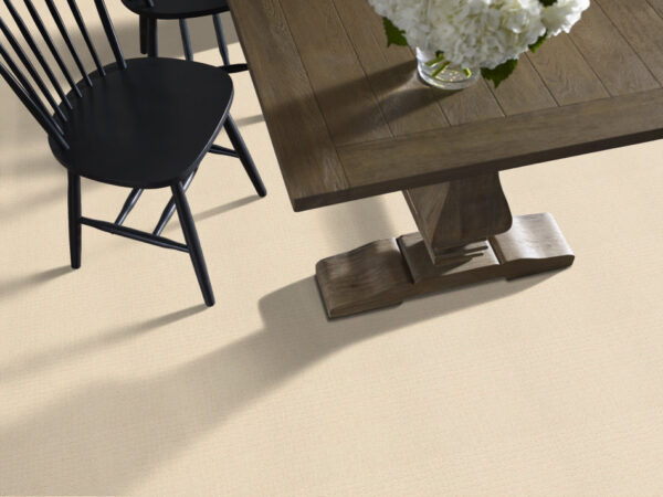 Anderson Tuftex Carpet Pawstruck Antiquity 00121_ZZ081 - Image 2