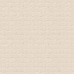 Anderson Tuftex Carpet Pawstruck Capri Coast 00181_ZZ081