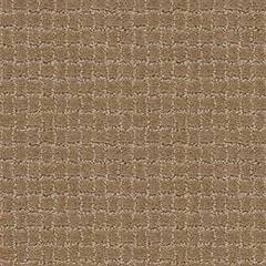 Anderson Tuftex Carpet Pawstruck Peanut Shell 00186_ZZ081