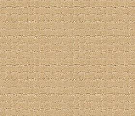 Anderson Tuftex Carpet Pawstruck Cork 00223_ZZ081