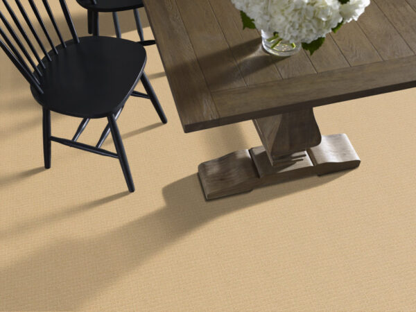 Anderson Tuftex Carpet Pawstruck Cork 00223_ZZ081 - Image 2