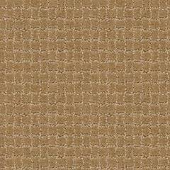 Anderson Tuftex Carpet Pawstruck Golden Straw 00224_ZZ081